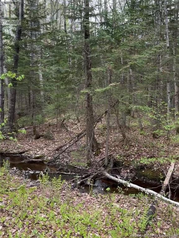 14 Acres Islandview Drive, New Brunswick — photo 4