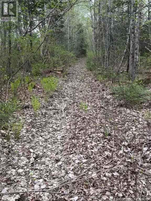 14 Acres Islandview Drive, New Brunswick — photo 5