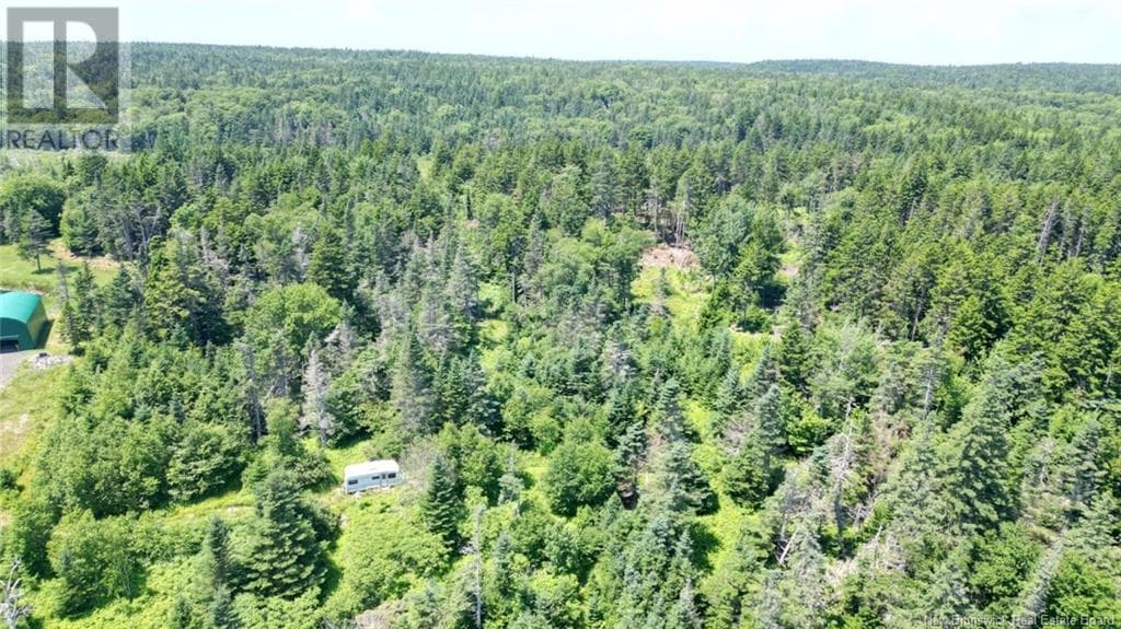Lot 04-01 Green Street, New Brunswick — photo 4