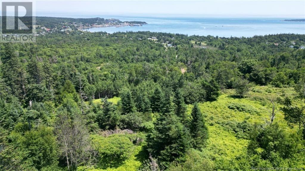 Lot 04-01 Green Street, New Brunswick — photo 5