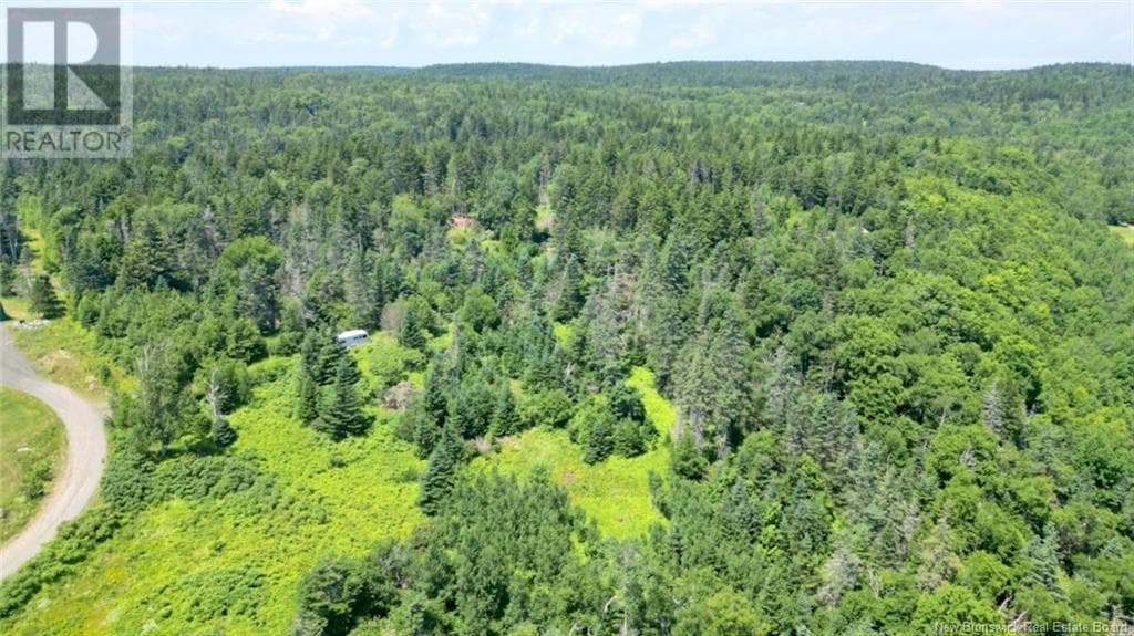 Lot 04-01 Green Street, New Brunswick — photo 3