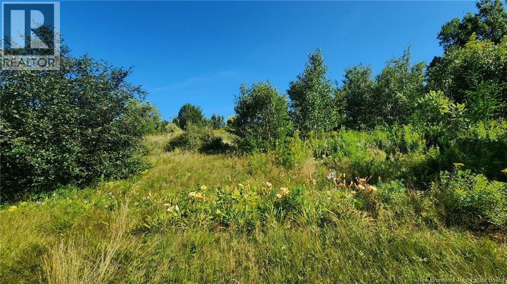 2 acres Chemin Nowlan, New Brunswick — photo 2