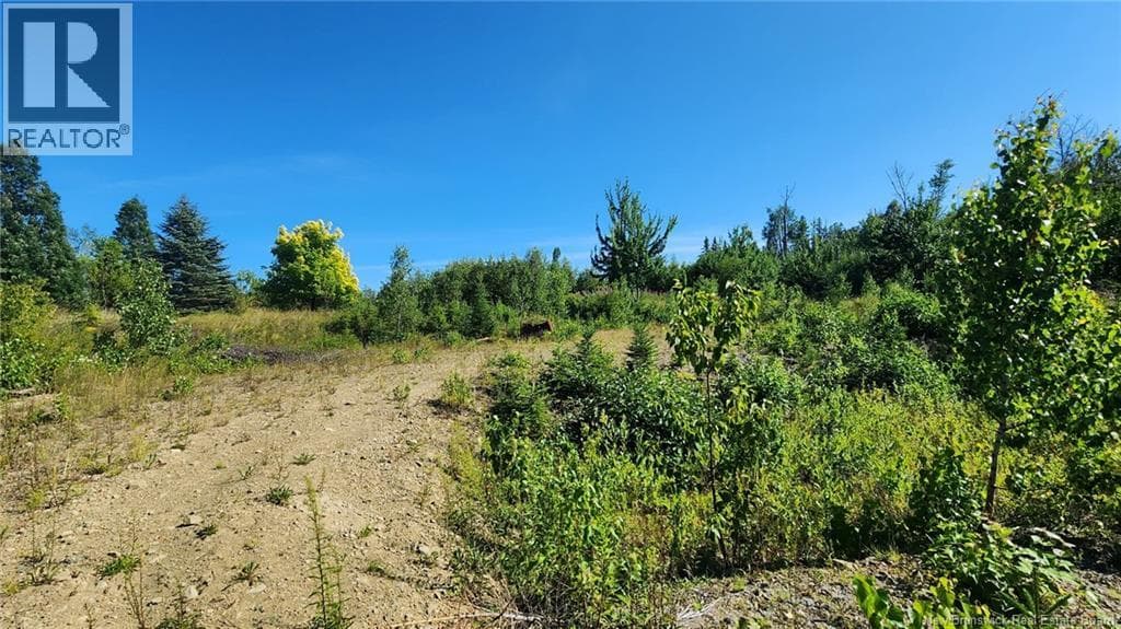 2 acres Chemin Nowlan, New Brunswick — photo 4