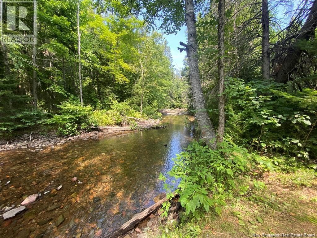ARCHIBALD ROAD in 