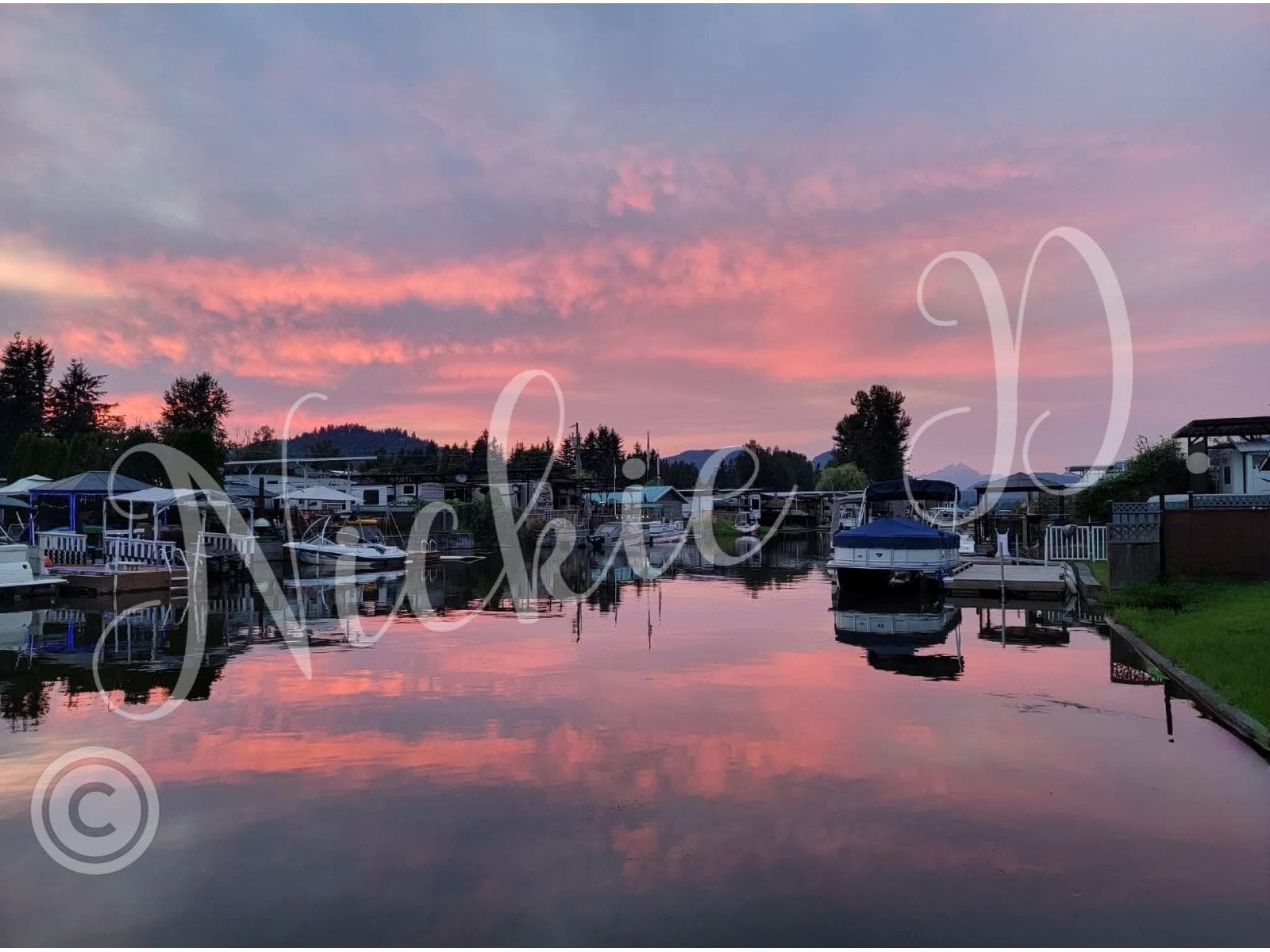 297 8400 SHOOK ROAD, Fraser Valley — photo 4