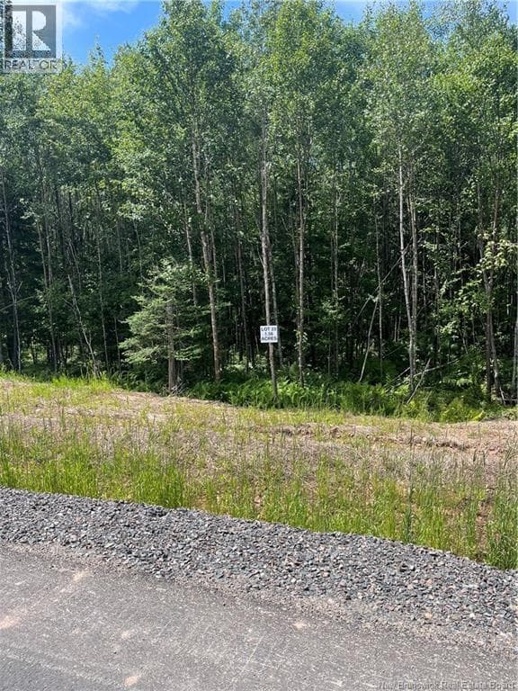 lot Cedarwood Drive — photo 3