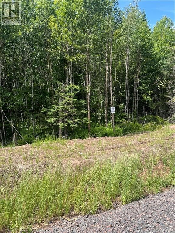 lot Cedarwood Drive — photo 5