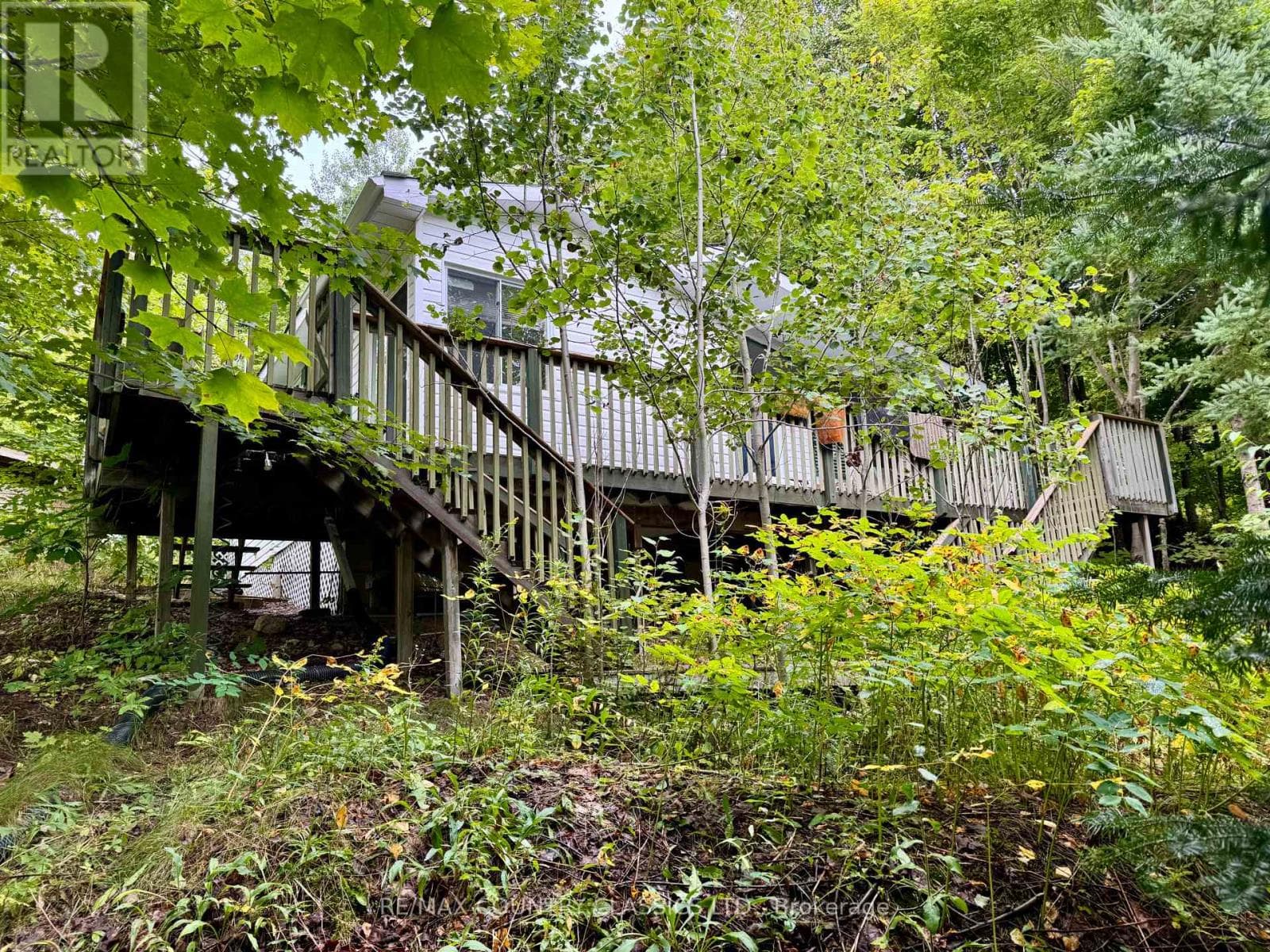 256 ELGIN ROAD, Central Lakes — photo 5