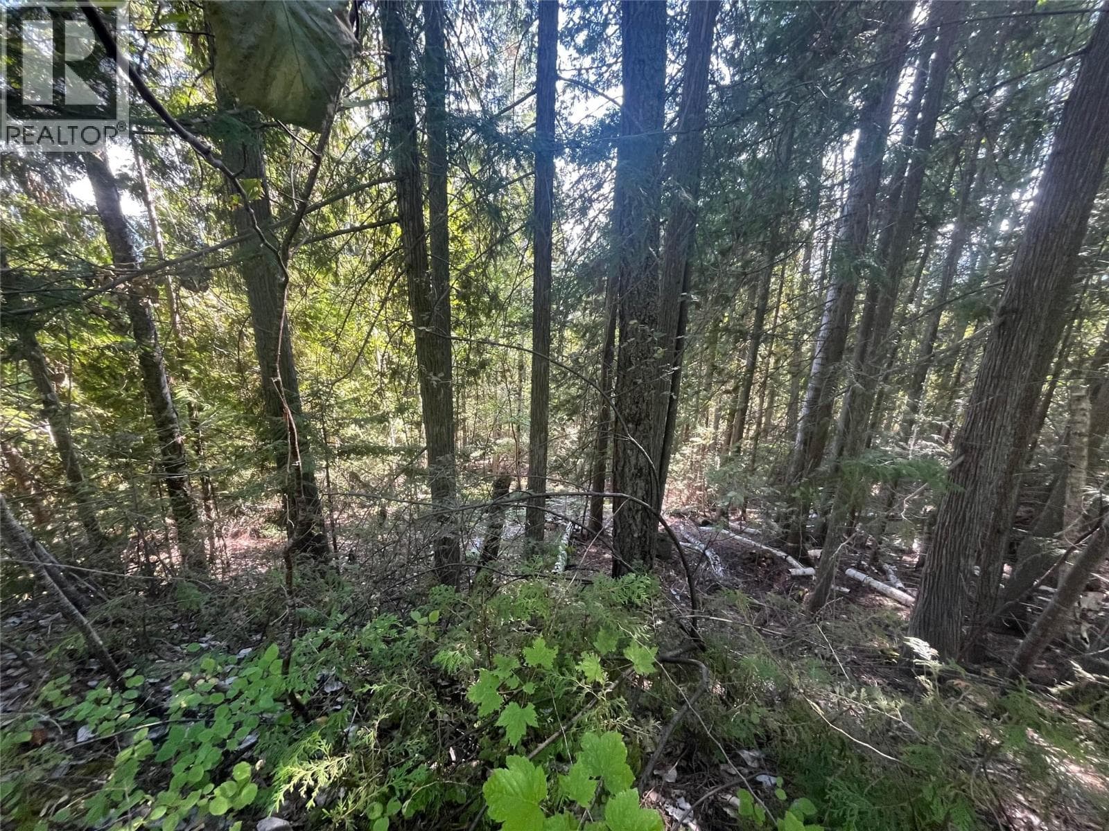 Lot 43 Vickers Trail Lot# 43, Interior REALTORS® — photo 4