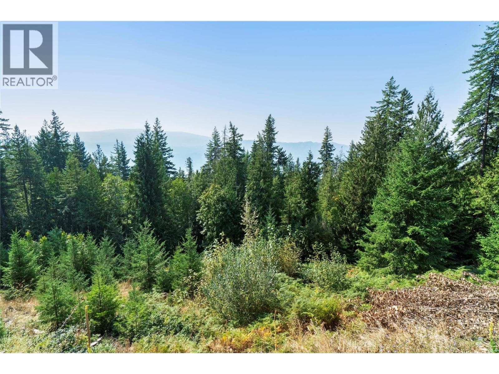 7660 LICHEN ROAD, Interior REALTORS® — photo 4