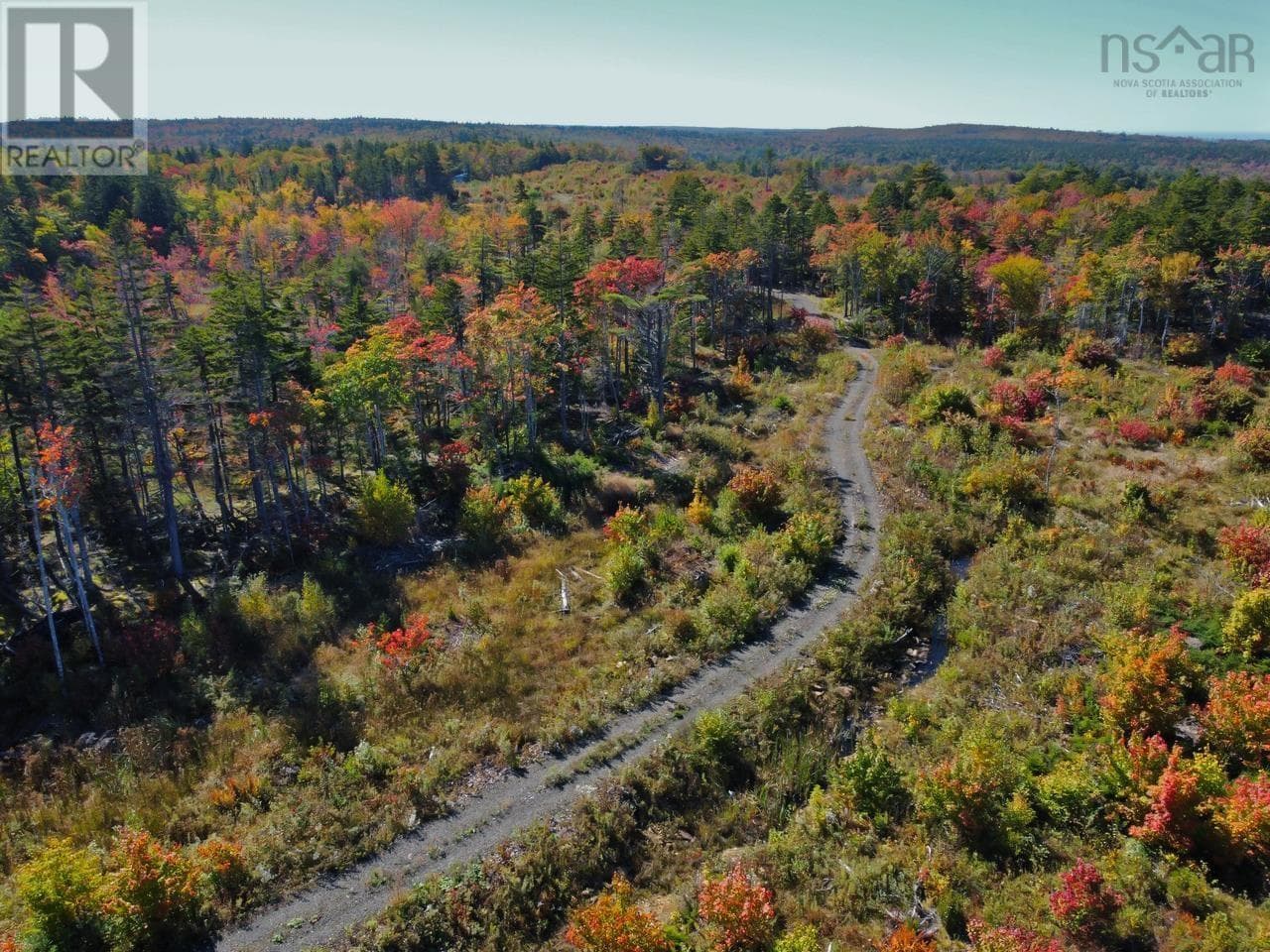 1269 HAMPTON MOUNTAIN ROAD, NSAR — photo 3