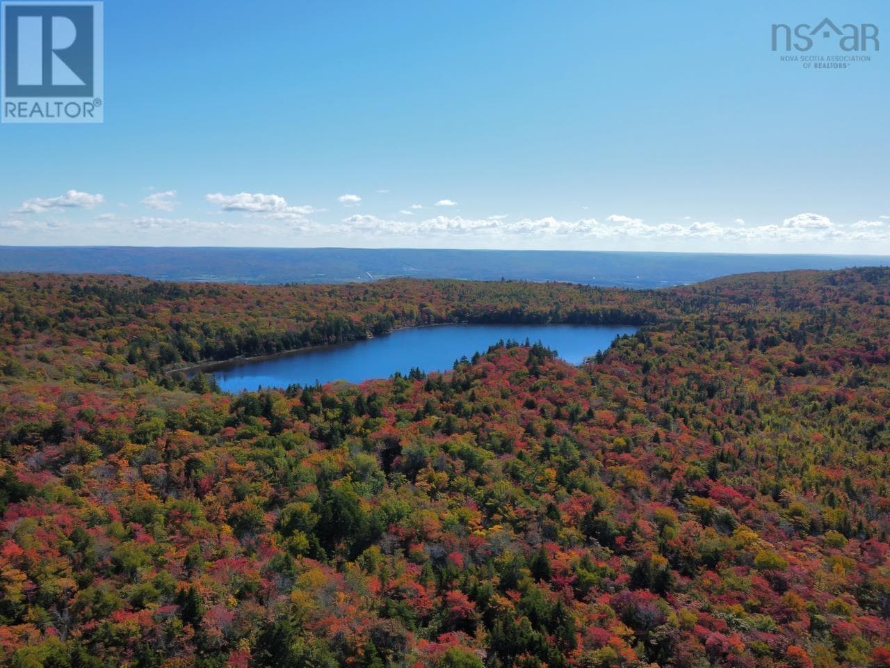 1269 HAMPTON MOUNTAIN ROAD, NSAR — photo 4