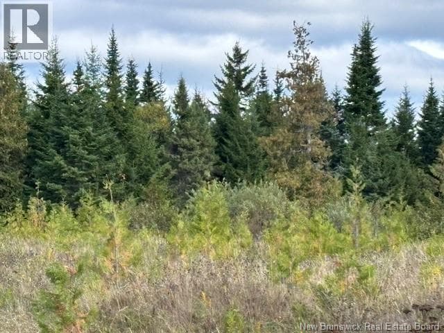 0 Latimore Lake Road, New Brunswick — photo 5