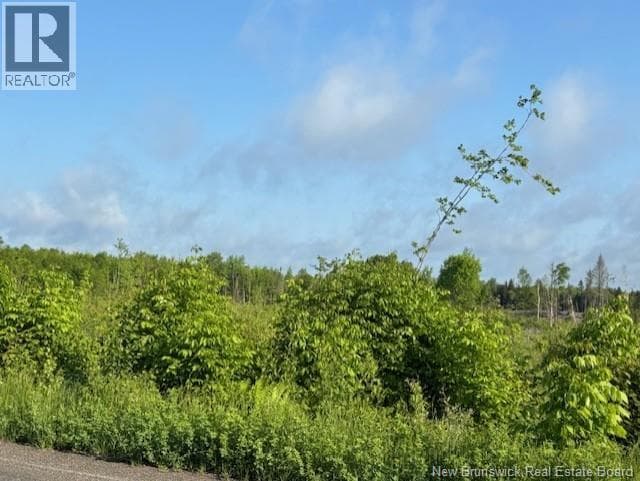00000 Upper Tower Hill Road, New Brunswick — photo 2