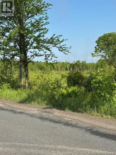 00000 Upper Tower Hill Road, New Brunswick — photo 4