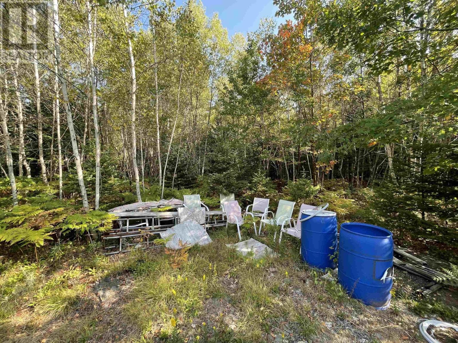 69 MACKAY ROAD, NSAR — photo 4
