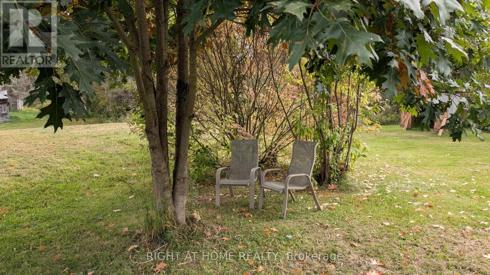 58 BELLEFEUILLE ROAD SOUTH, Toronto — photo 5