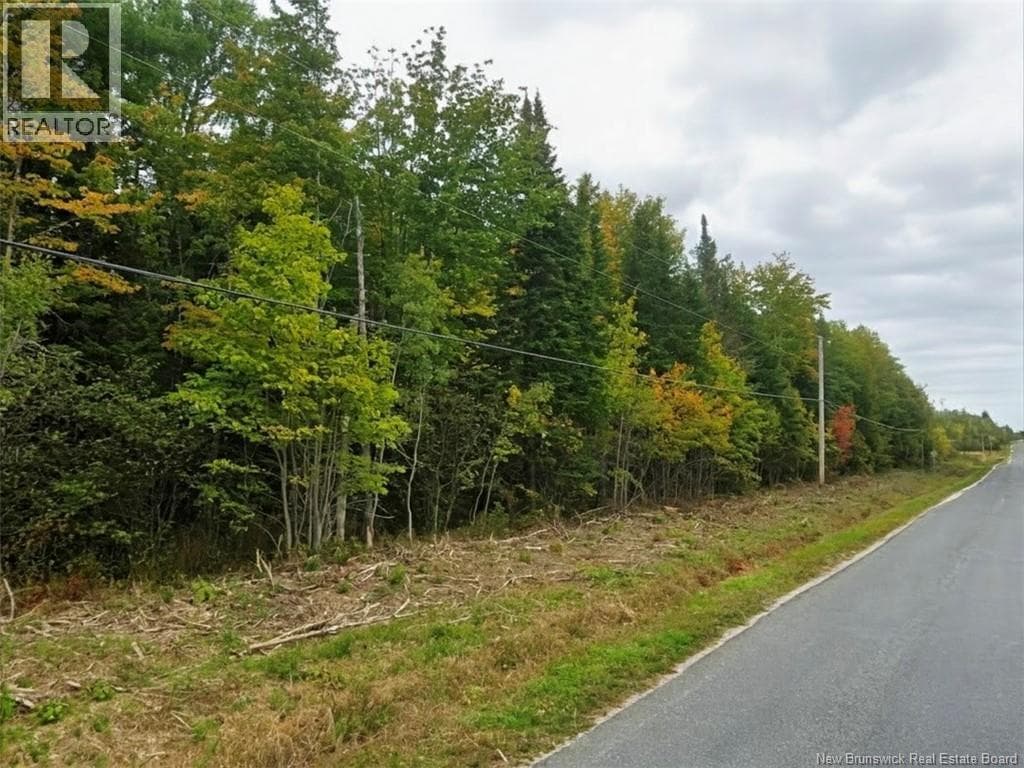 LOT NORTH BLACK RIVER ROAD, New Brunswick — photo 2