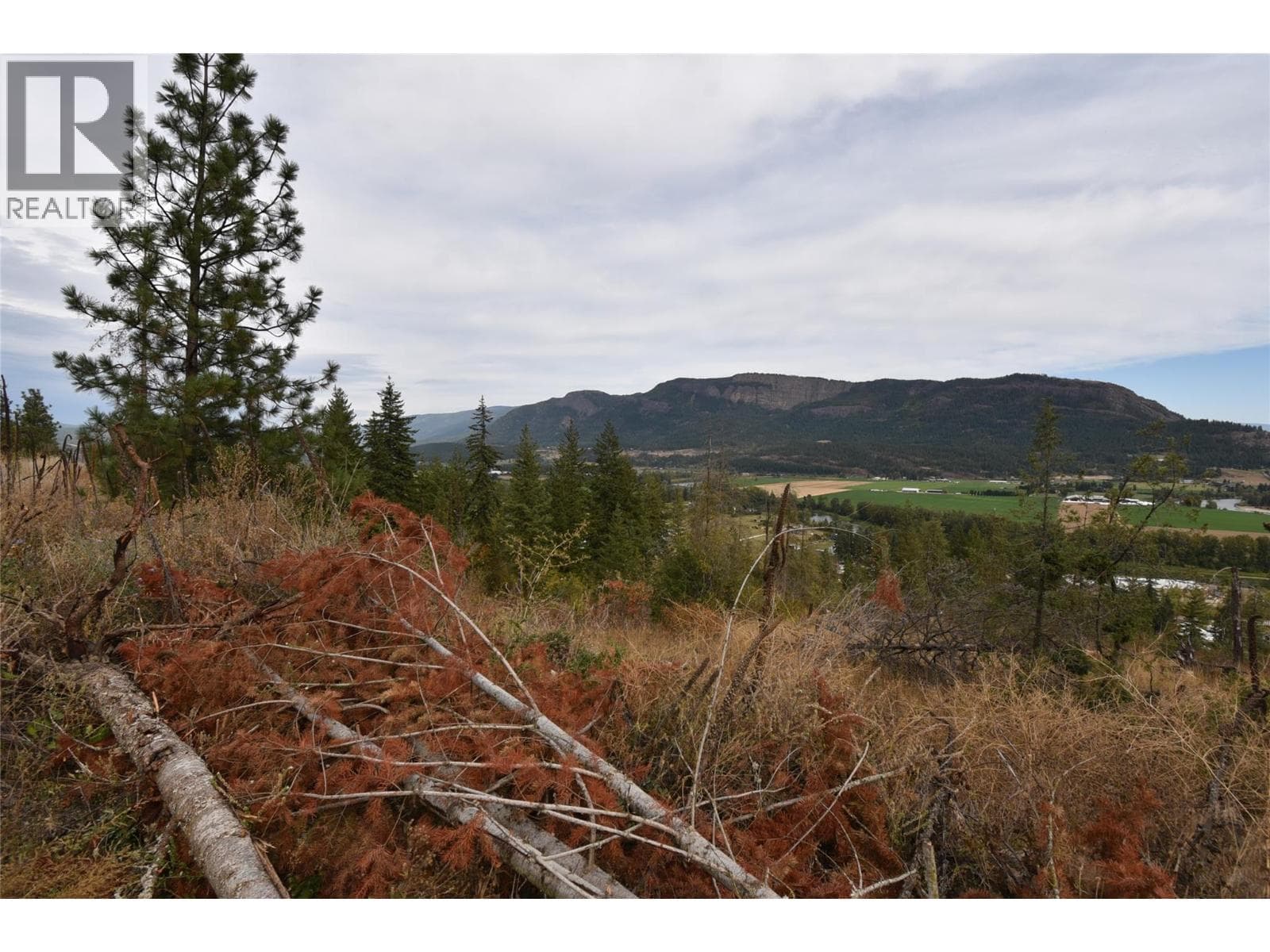 231 Crooked Pine Road, Interior REALTORS® — photo 4