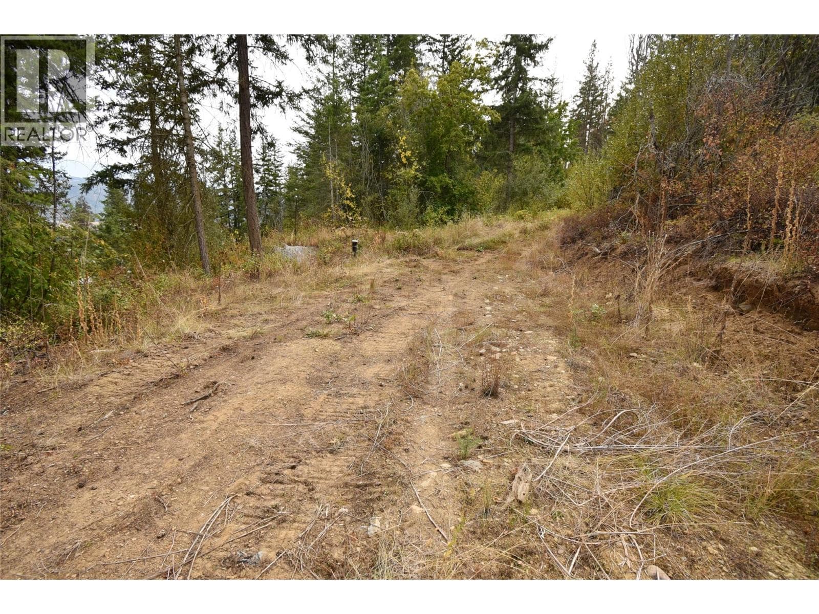 246 Crooked Pine Road, Interior REALTORS® — photo 4