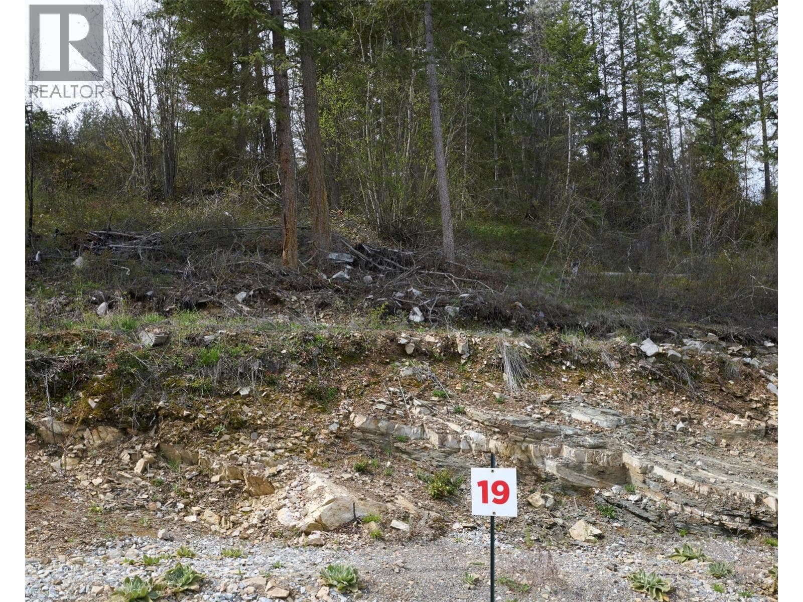 246 Crooked Pine Road in 