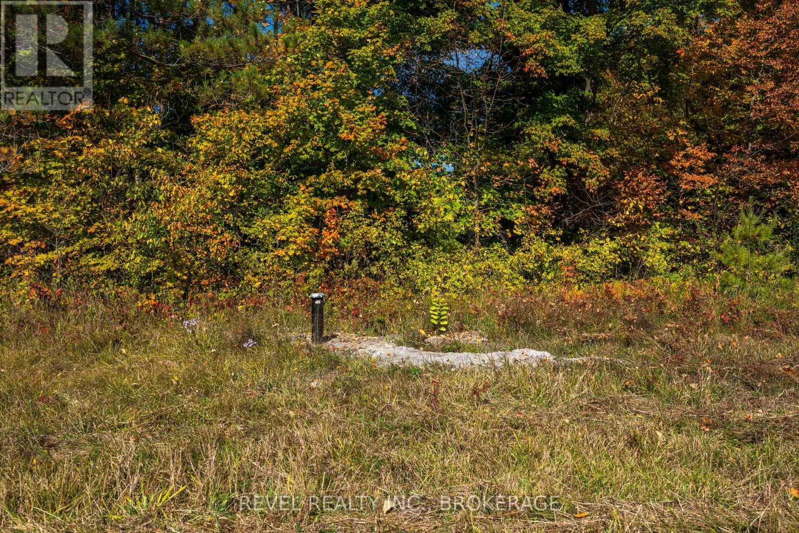 111 BUCK BAY ROAD, Kingston — photo 5
