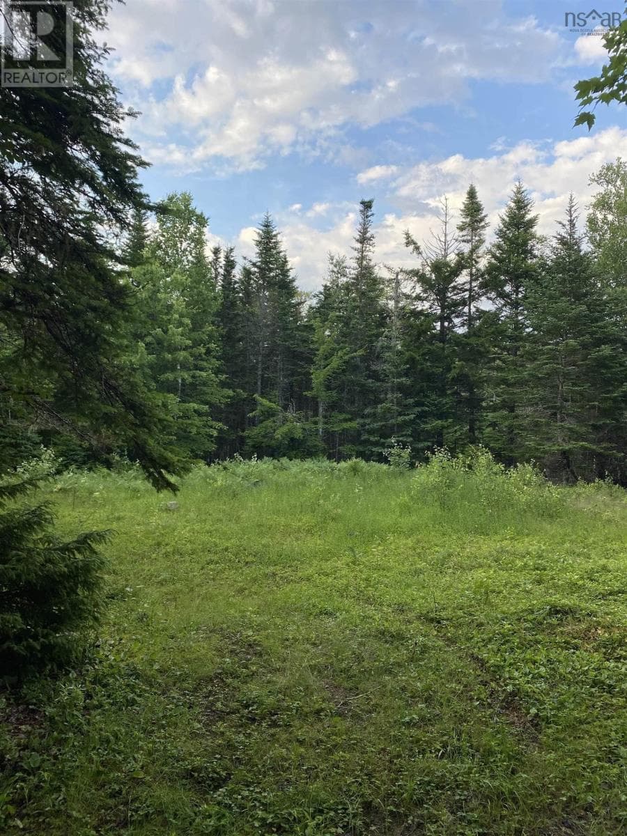Lot 9 Pigott Lake Road, NSAR — photo 5