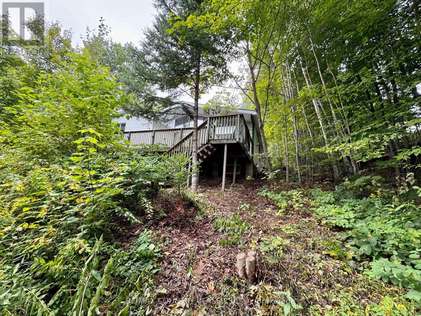 256 ELGIN ROAD, Central Lakes — photo 2