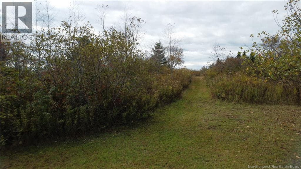 Lot Sam Hatt Road, New Brunswick — photo 3