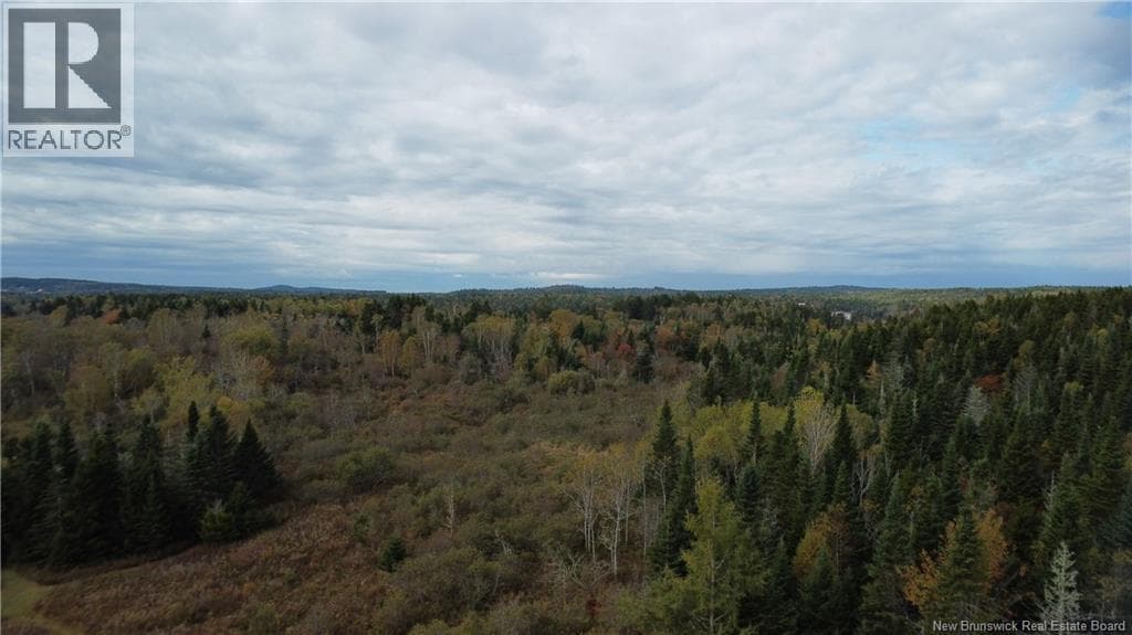 Lot Sam Hatt Road, New Brunswick — photo 5