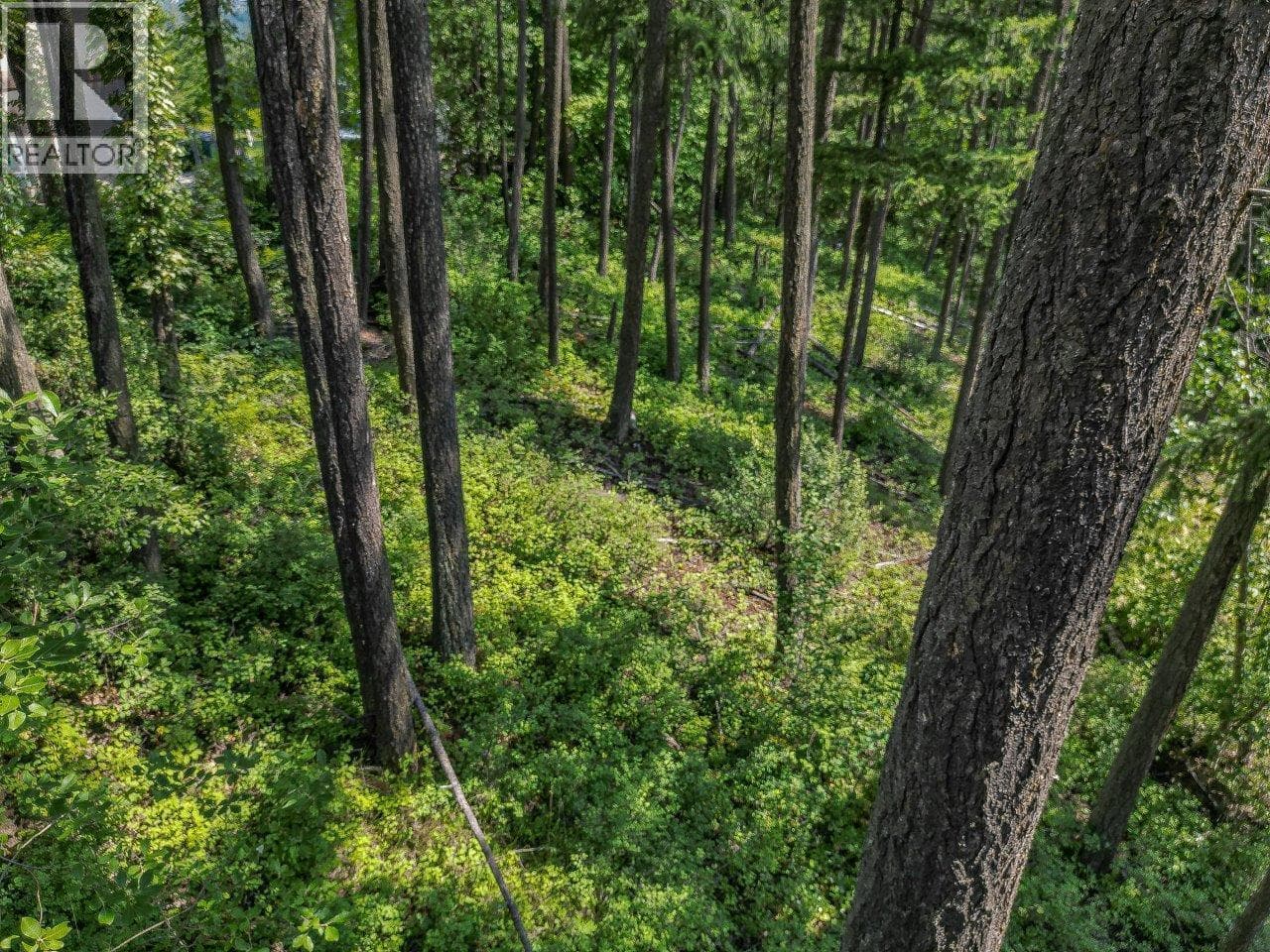 LOT 25 FOREST VIEW PLAZA in 