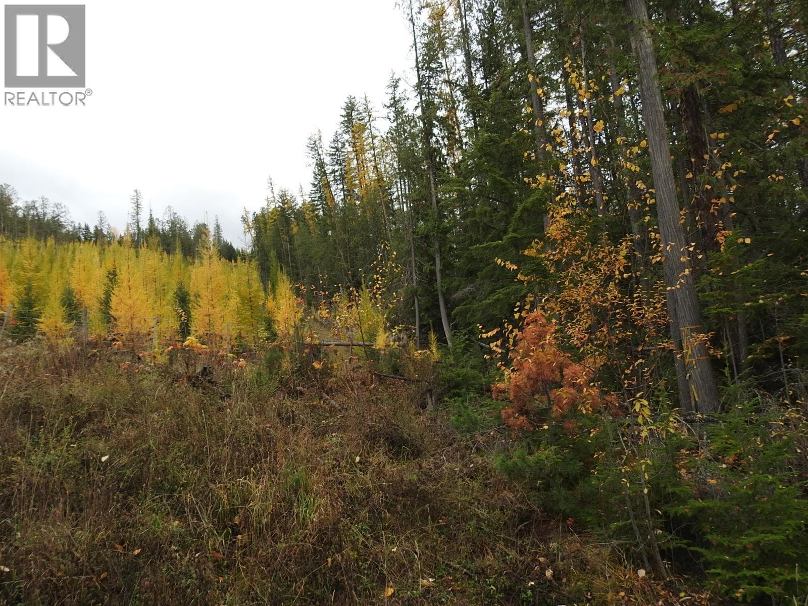144 Acres South Fork Road, Interior REALTORS® — photo 2