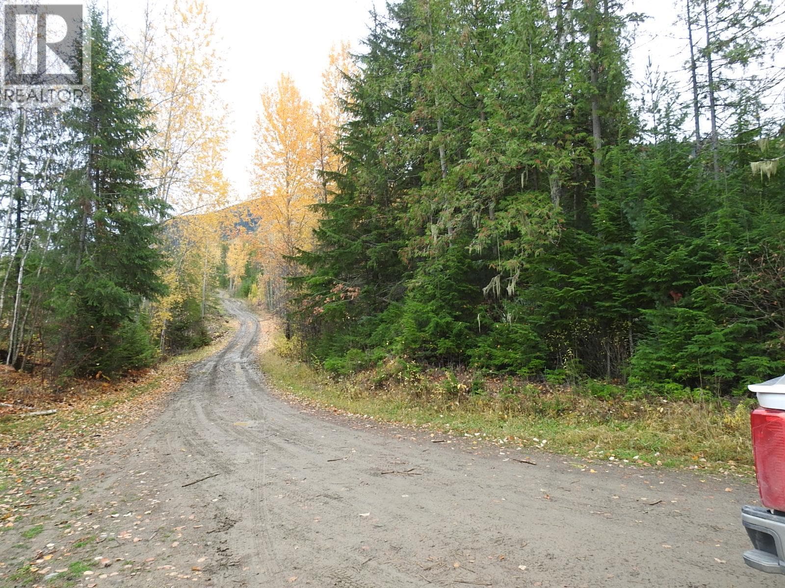 144 Acres South Fork Road, Interior REALTORS® — photo 4