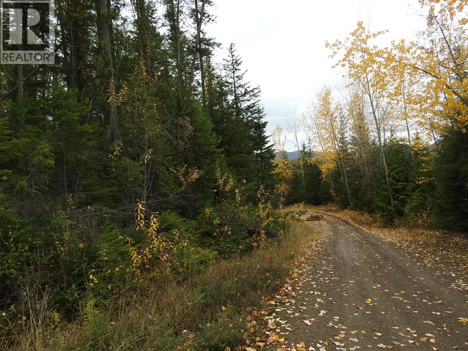 144 Acres South Fork Road, Interior REALTORS® — photo 3