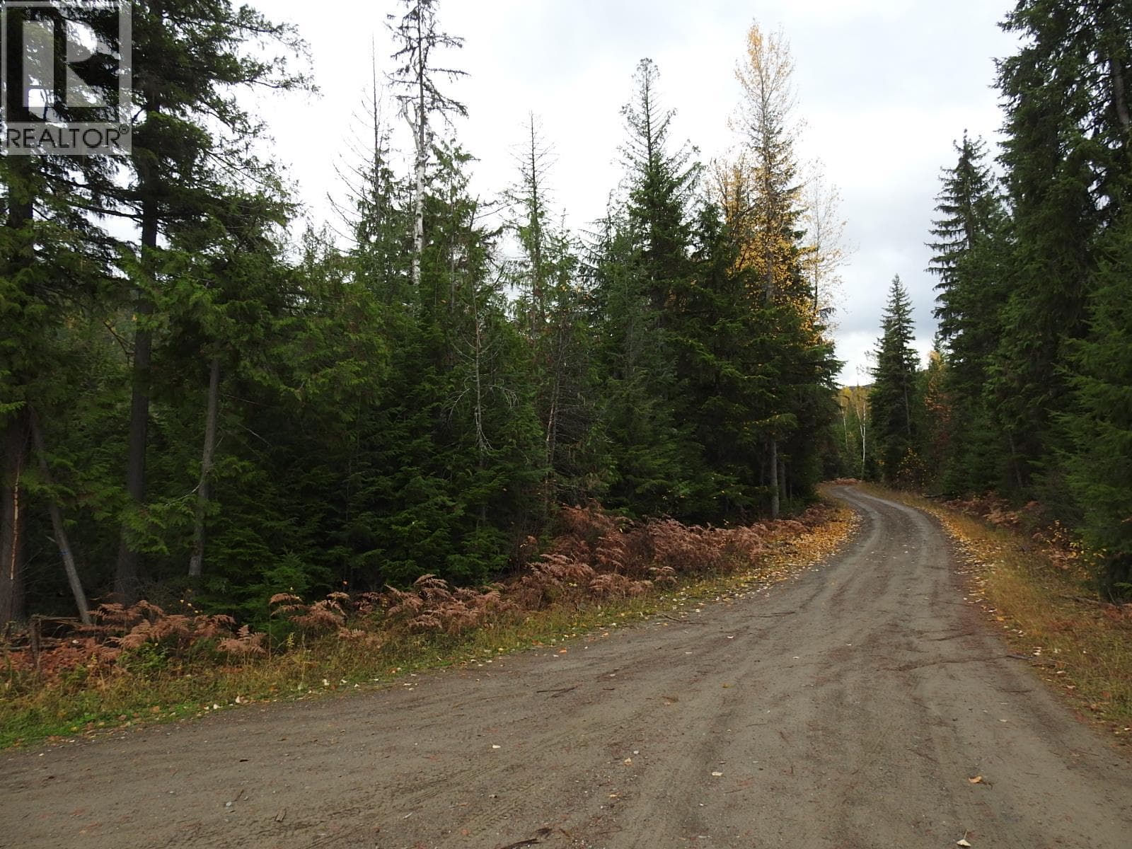 144 Acres South Fork Road, Interior REALTORS® — photo 5