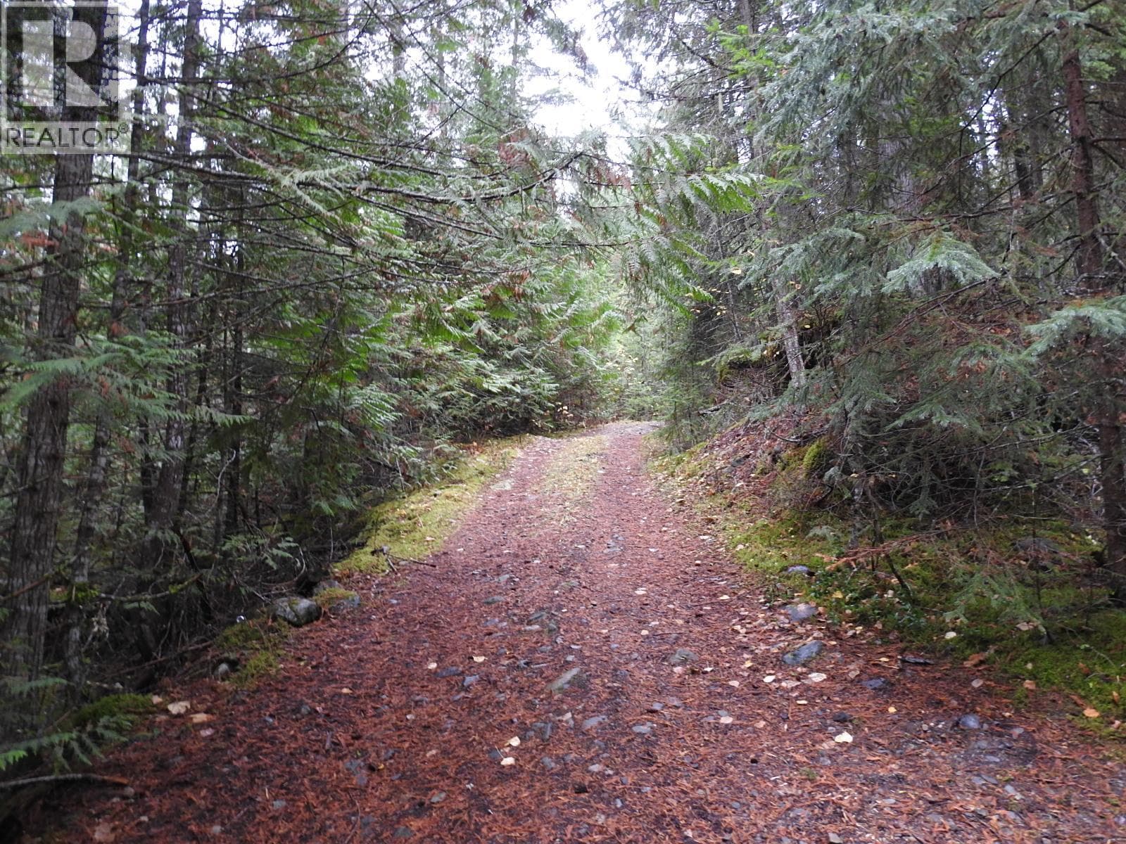 144 Acres South Fork Road in 