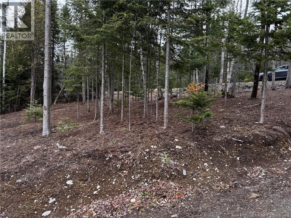 988 215 HIGHWAY, New Brunswick — photo 3