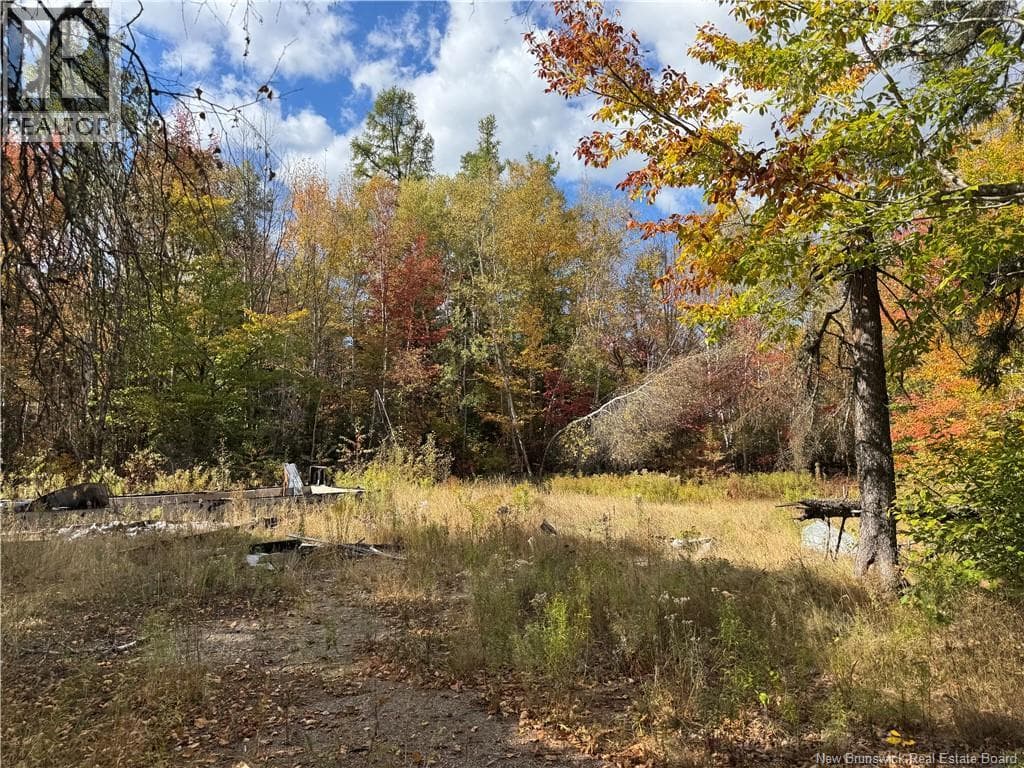 60 BETTSBURG ROAD in 