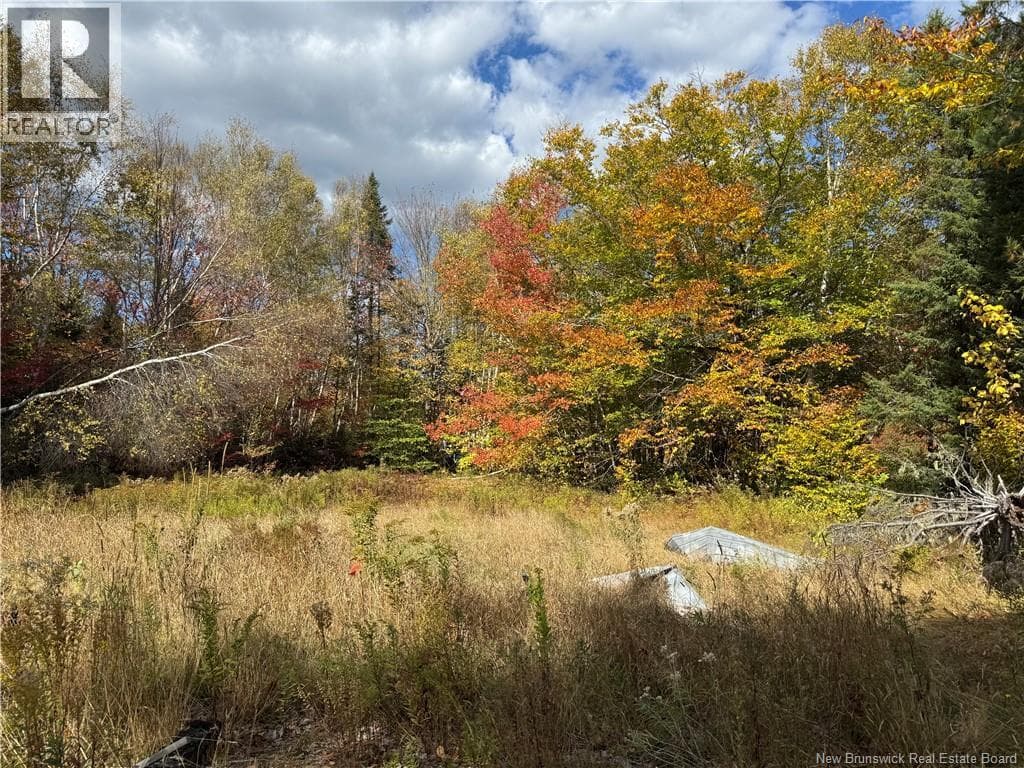 60 BETTSBURG ROAD, New Brunswick — photo 3