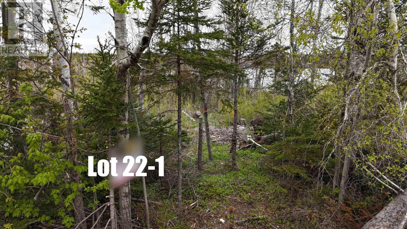 Lot 22-1 Lake Road, NSAR — photo 3