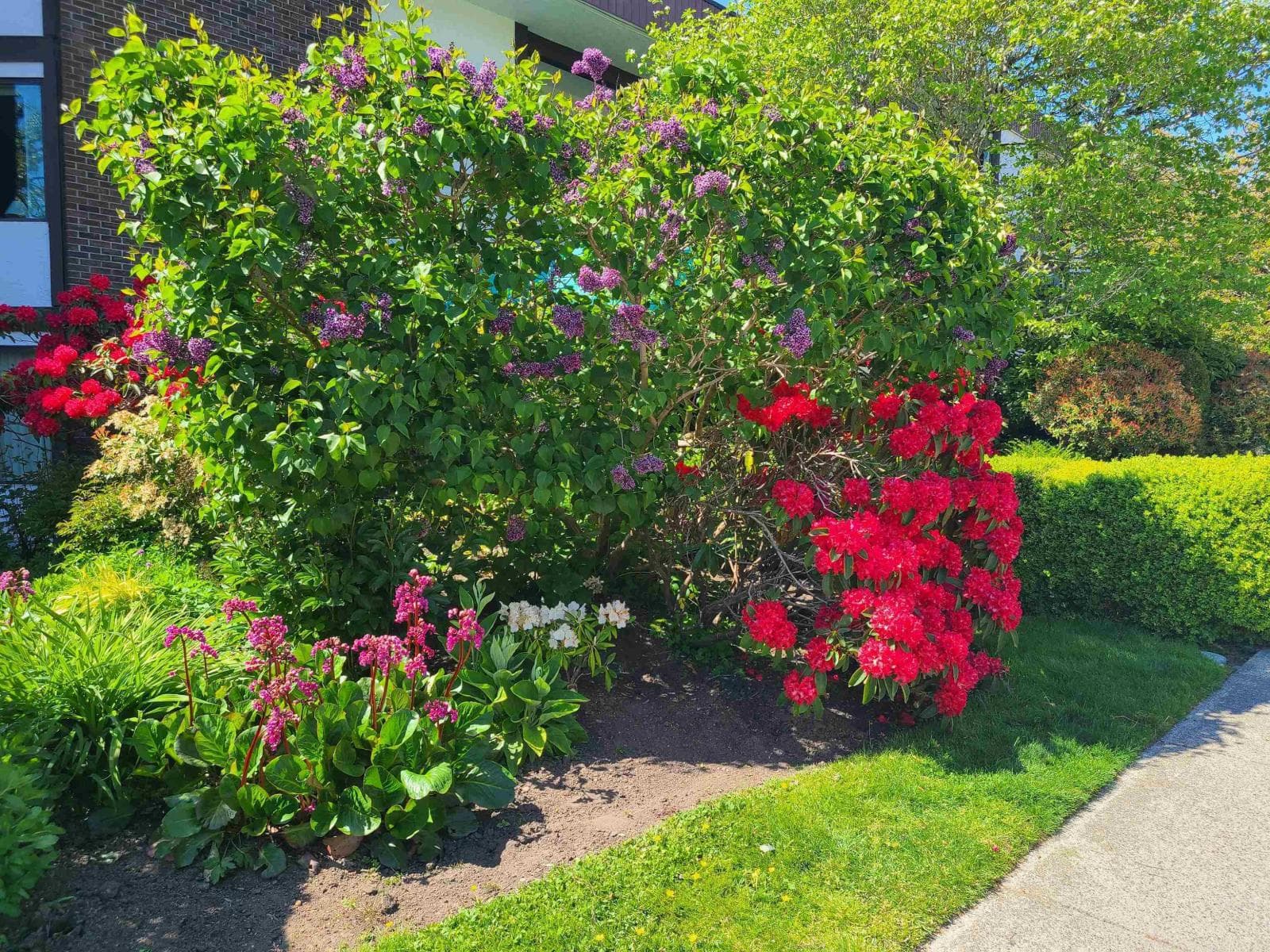 111 1521 BLACKWOOD STREET, Fraser Valley — photo 2