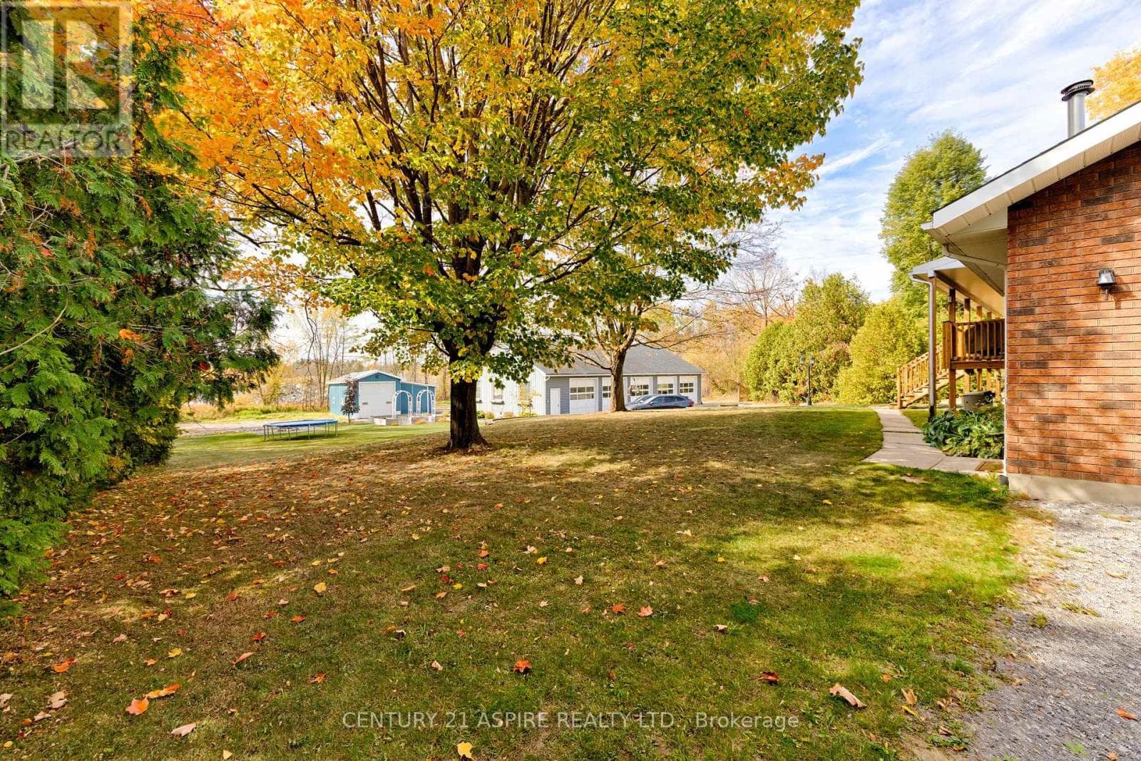 75 PEMBROKE STREET, Renfrew County — photo 4