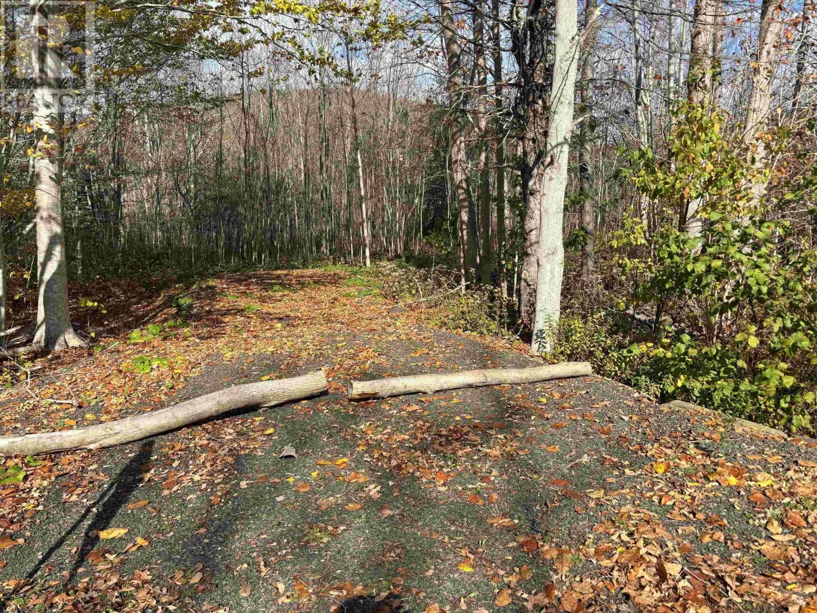 Lot Granville Road, NSAR — photo 3