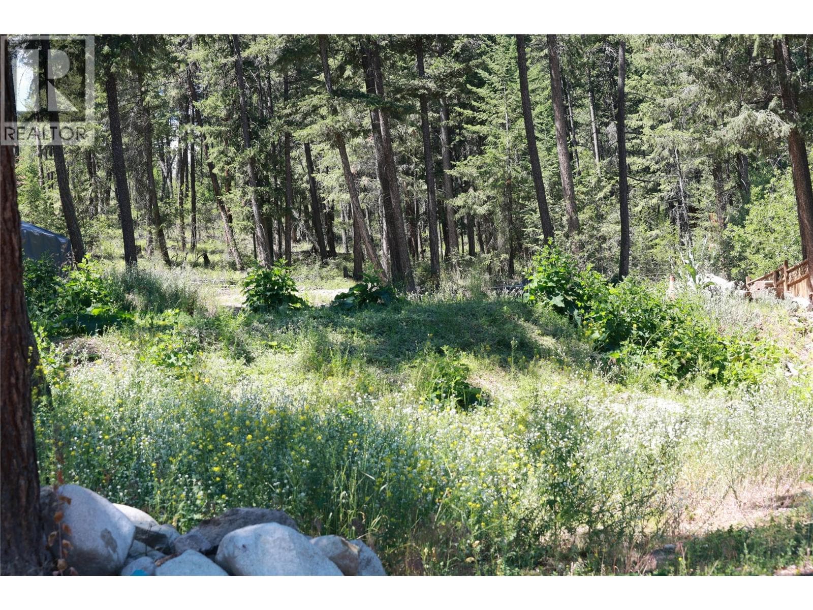 7968 ALPINE ROAD in 