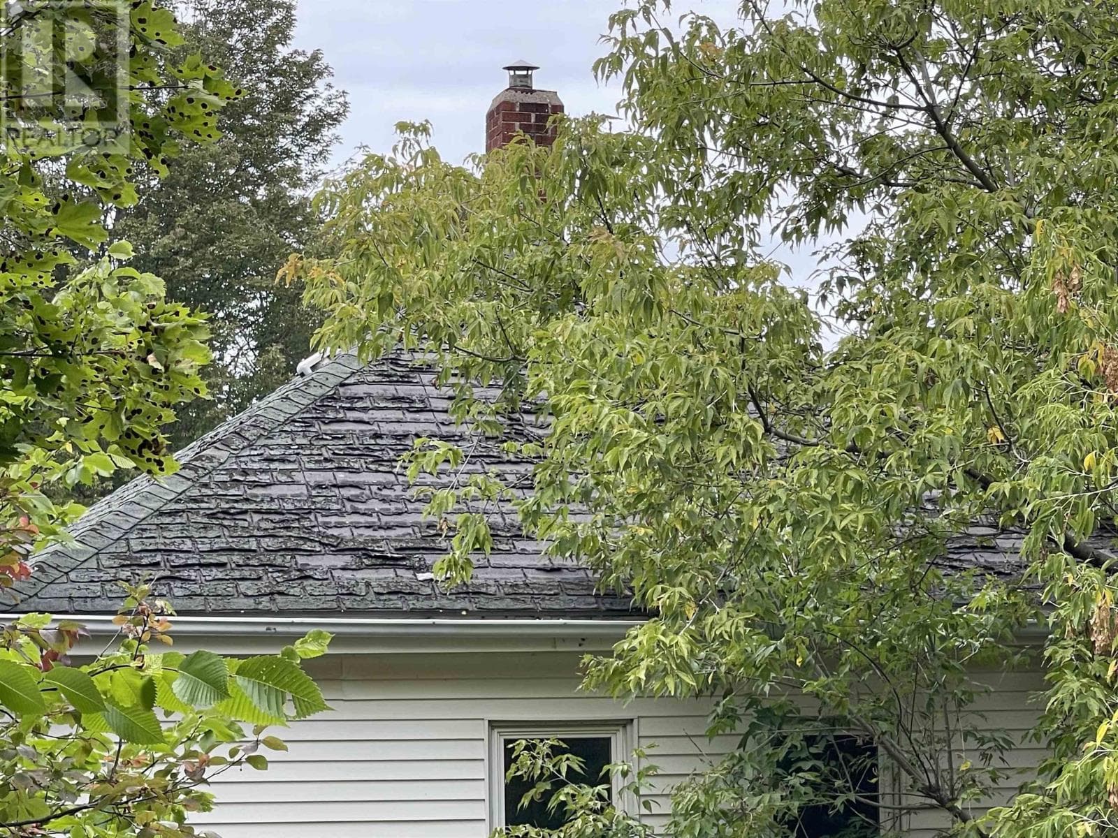 42 BELL STREET, NSAR — photo 4
