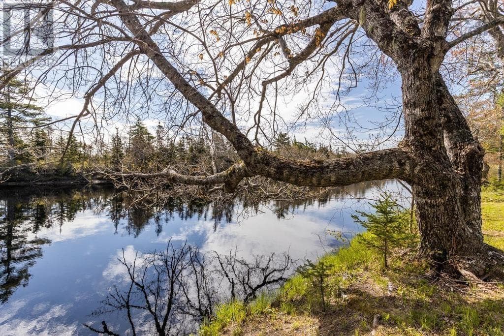 1256 Upper Clyde Road, NSAR — photo 5