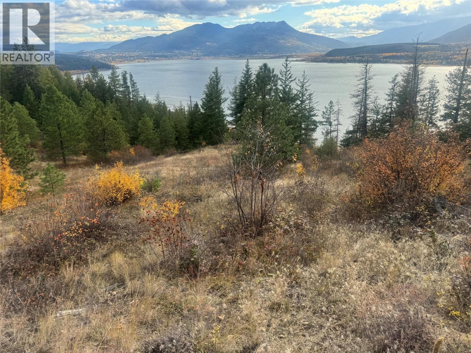 470 SUMAC ROAD in 