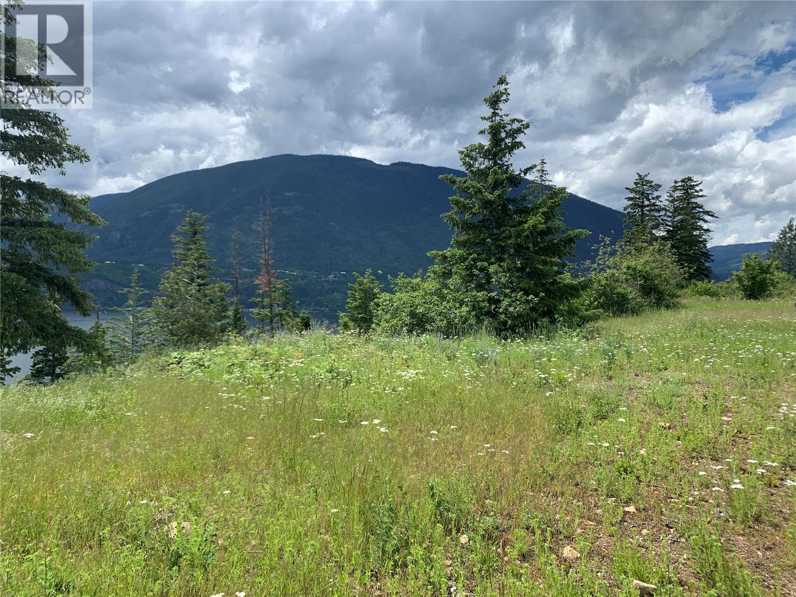 470 SUMAC ROAD, Interior REALTORS® — photo 5