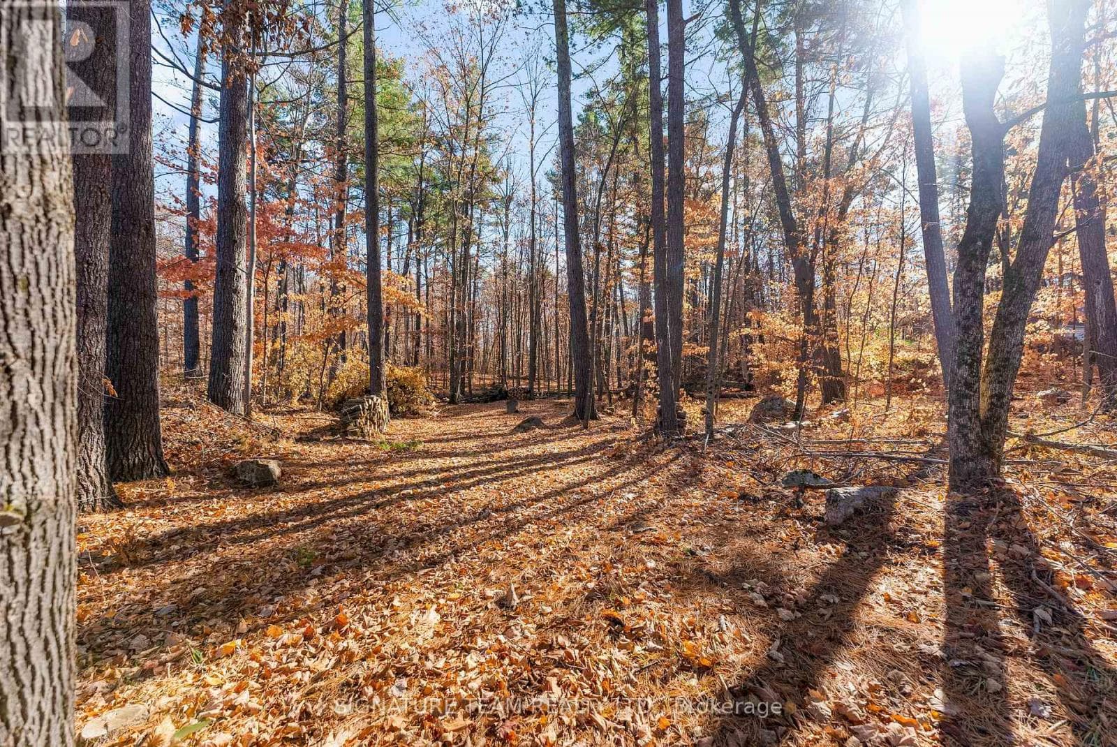 368 B ROCKY POINT DRIVE, Renfrew County — photo 4