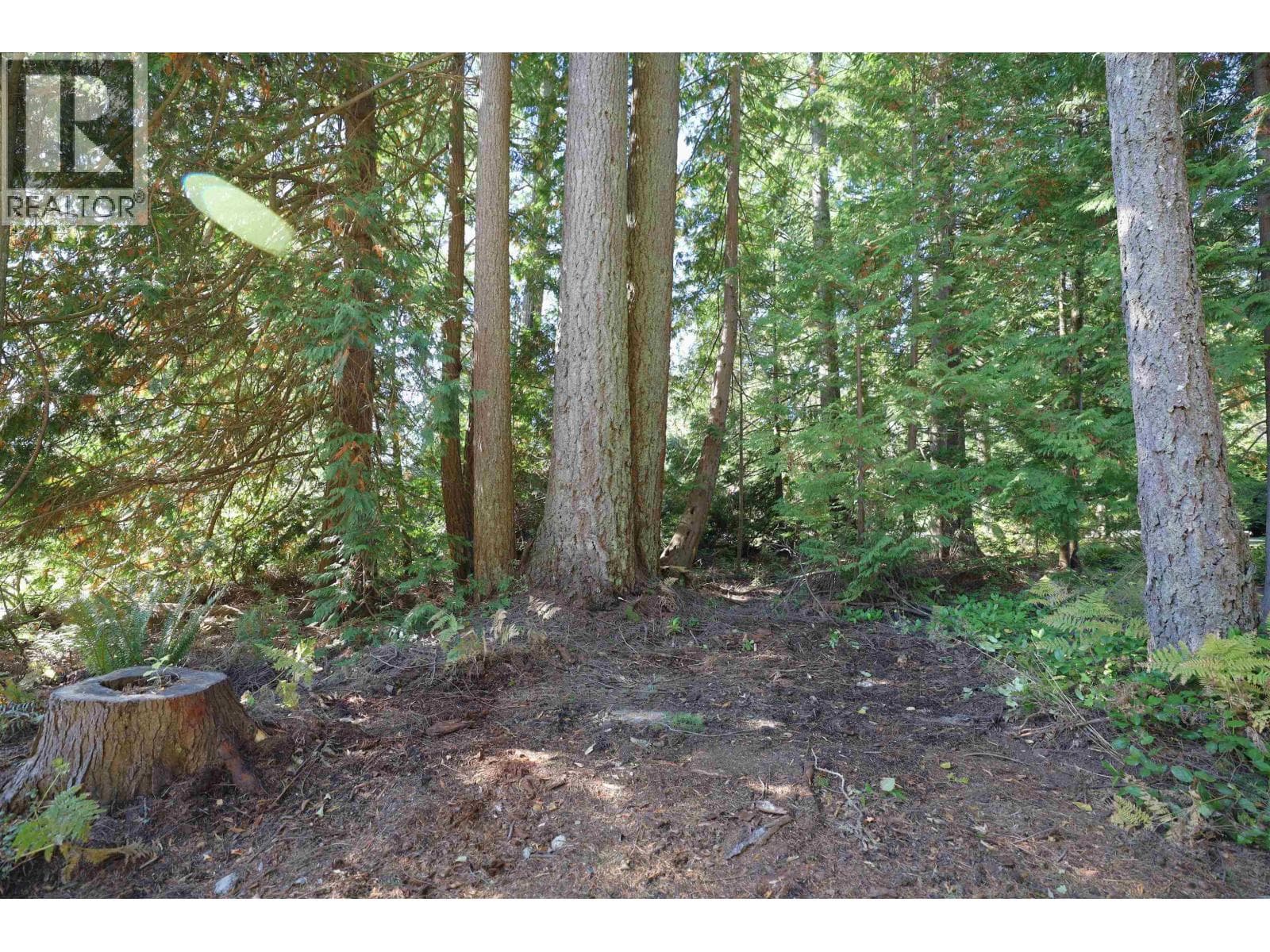 588 VETERANS ROAD, Greater Vancouver — photo 5